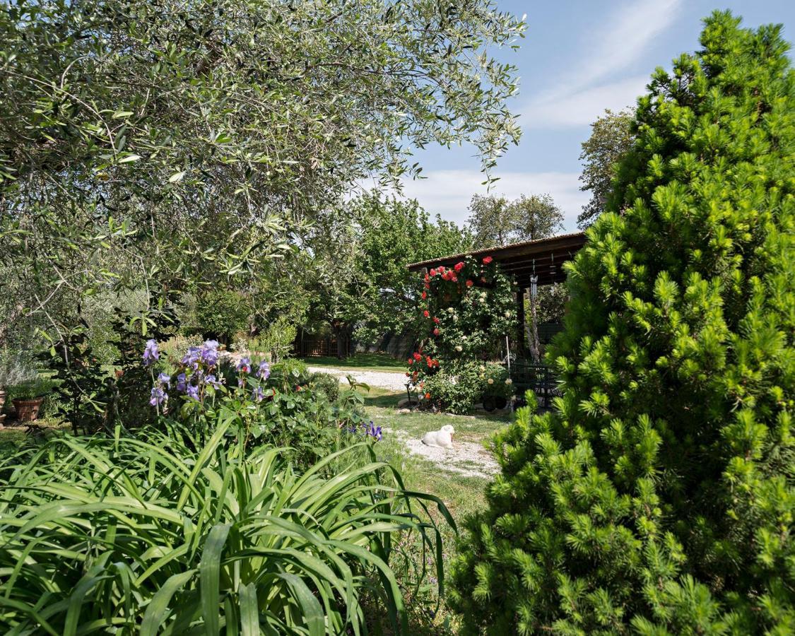 I Glicini Appartamento Castagneto Carducci Exterior photo